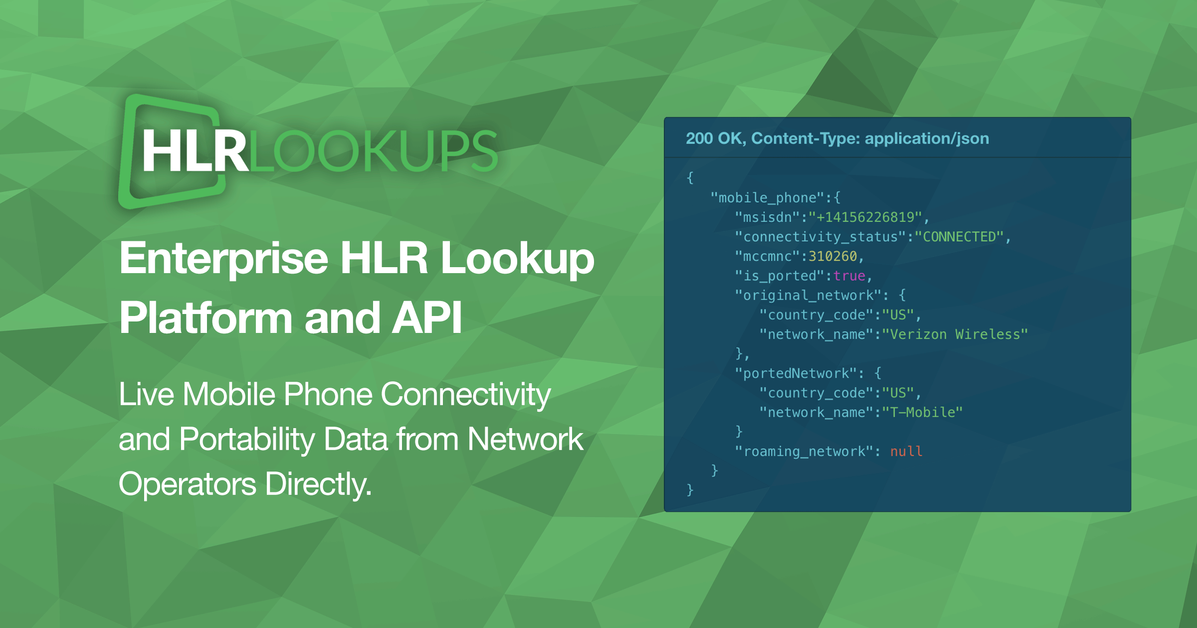 Enterprise Hlr Lookup Platform And Api